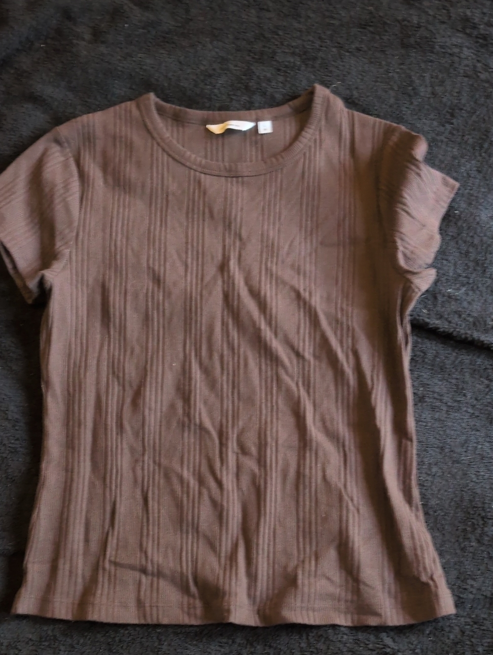 Reitmans Brown Ribbed Short Sleeve Crewneck Top